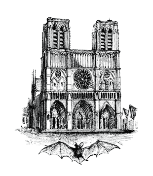 gravação da Catedral de Notre-Dame de Paris